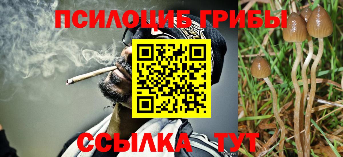Галлюциногенные грибы GOLDEN TEACHER Чебоксары