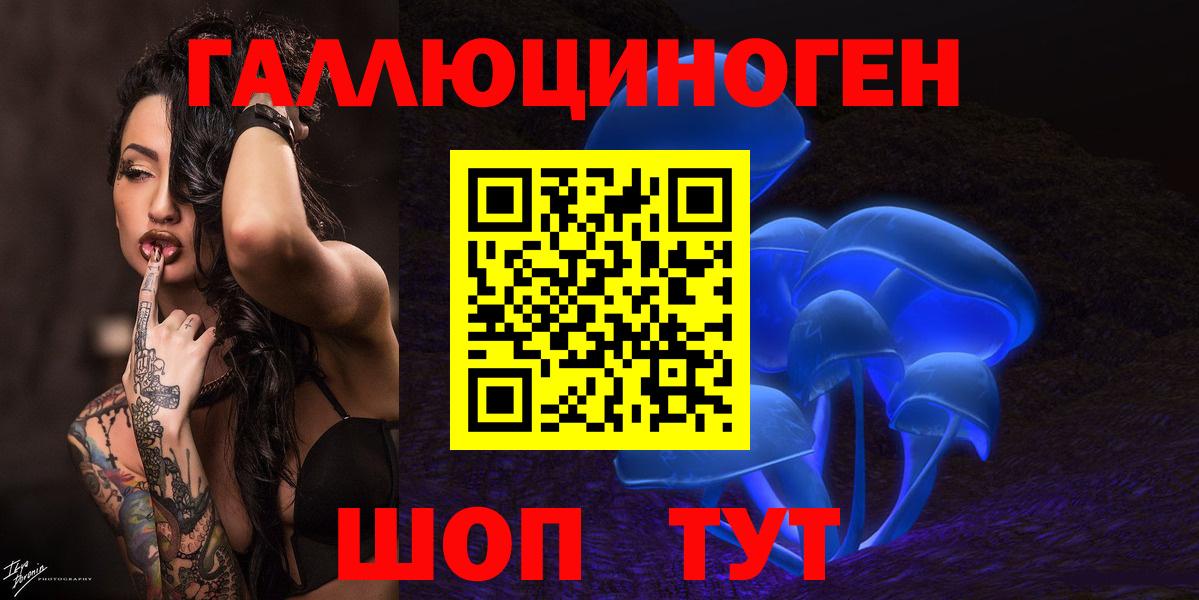 Псилоцибиновые грибы GOLDEN TEACHER  Вход с VPN  Чебоксары  Псилоцибиновые грибы Psilocybe 